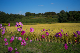 DSC02434.jpg
