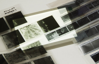 DSCF7351.JPG