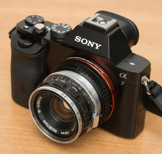 DSC_0720t.jpg