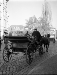 w11s.jpg